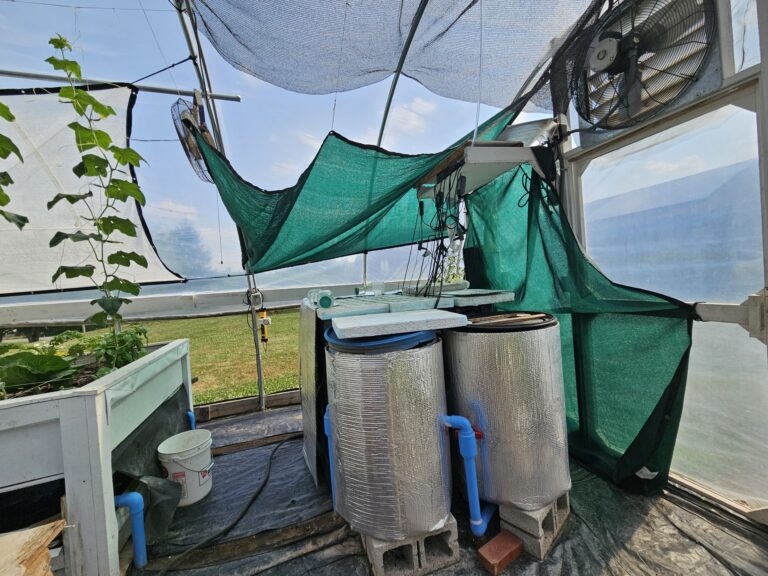 Managing Extreme Heat in an Aquaponics System